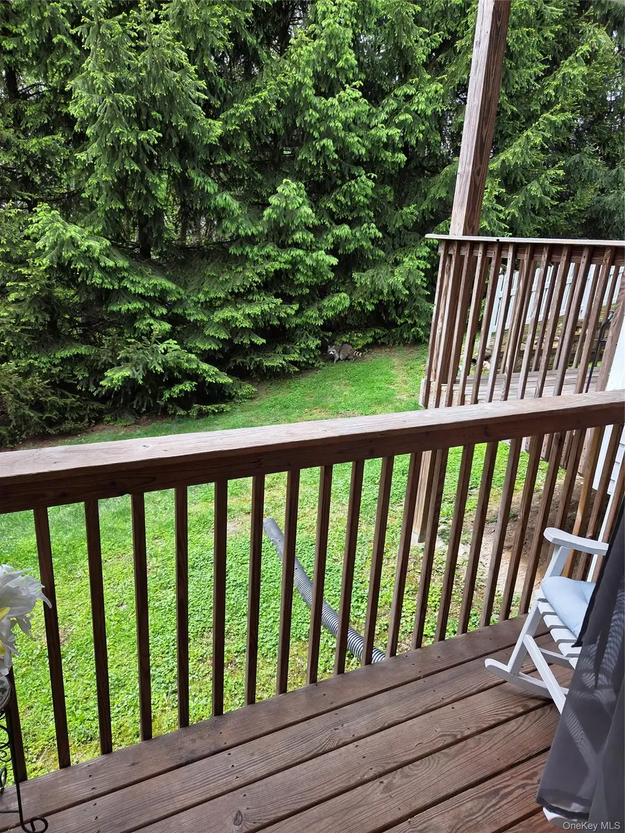 49 Aveonis Court #49, Fishkill, NY 12524 - #3