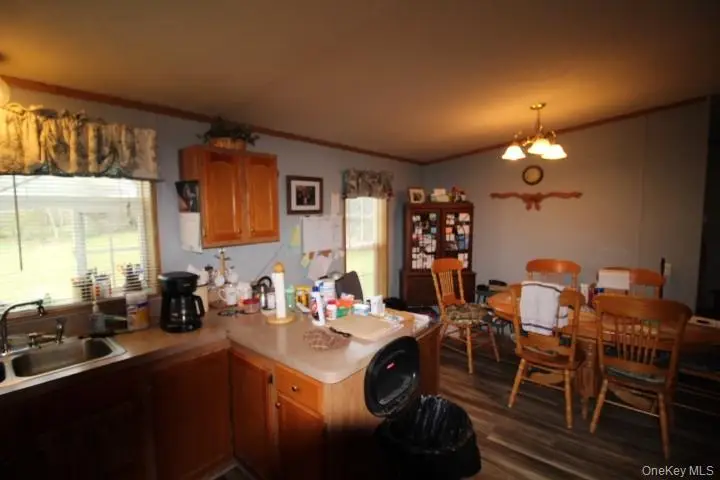 440 Debruce Road, Livingston Manor, NY 12758 - #3