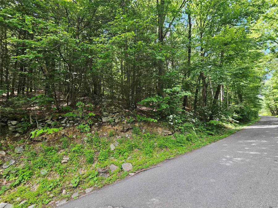 Trails End Road, Kerhonkson, NY 12446 - #2