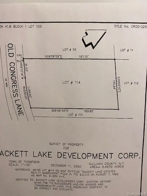 Lot 114 Old Congress Road, Monticello, NY 12701 - #2