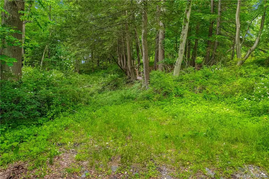 28 Mclain - Lot 2 Street, Bedford Corners, NY 10549 - #2