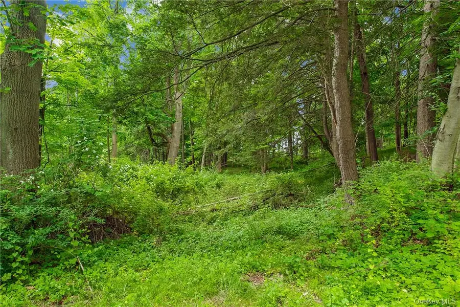 28 Mclain - Lot 2 Street, Bedford Corners, NY 10549 - #3