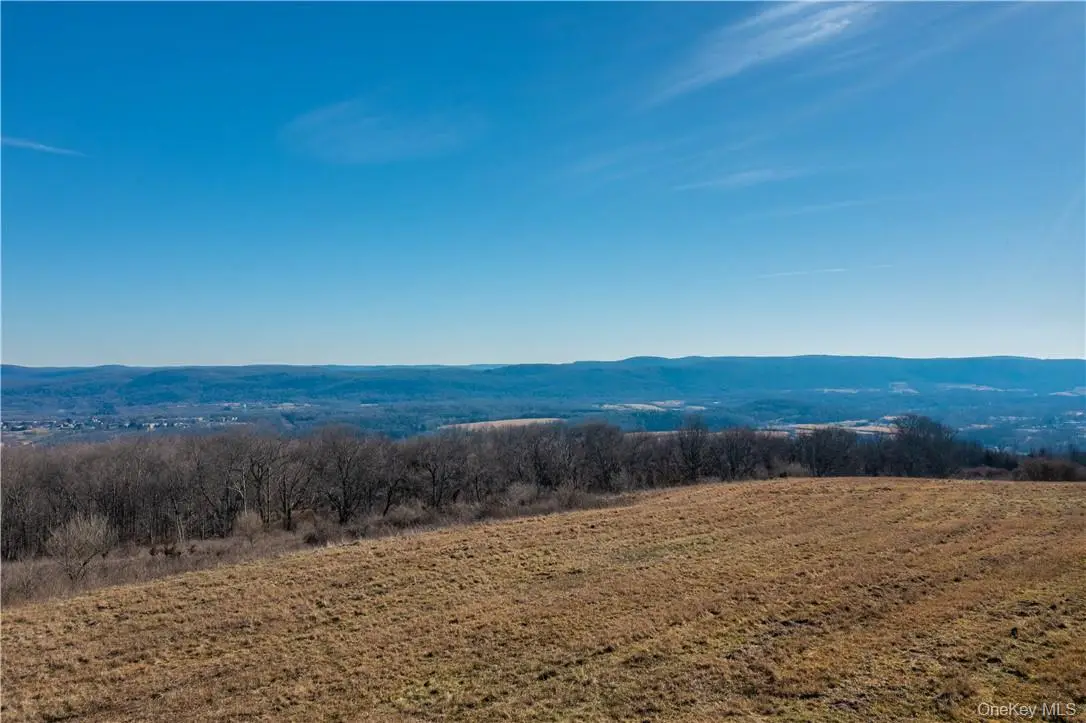 1297 Route 343, Dover Plains, NY 12522 - #1