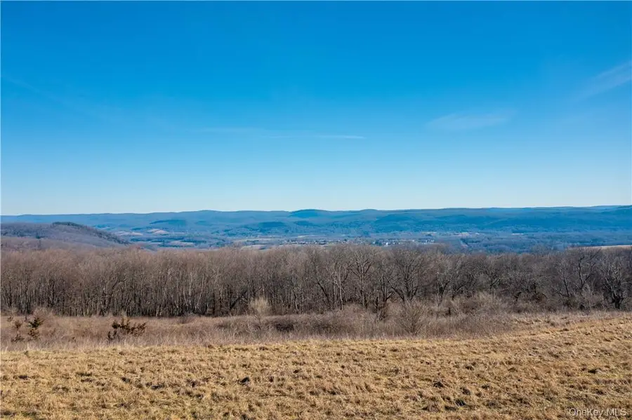 1297 Route 343, Dover Plains, NY 12522 - #2