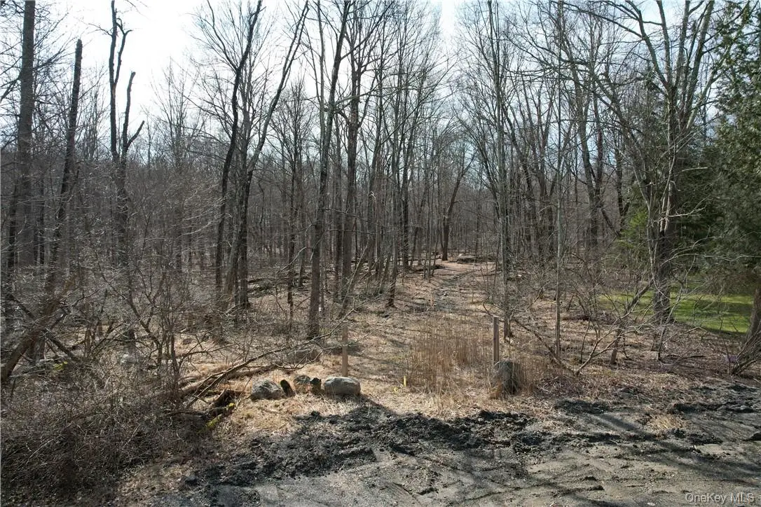 Owen Drive, Carmel, NY 10512 - #1
