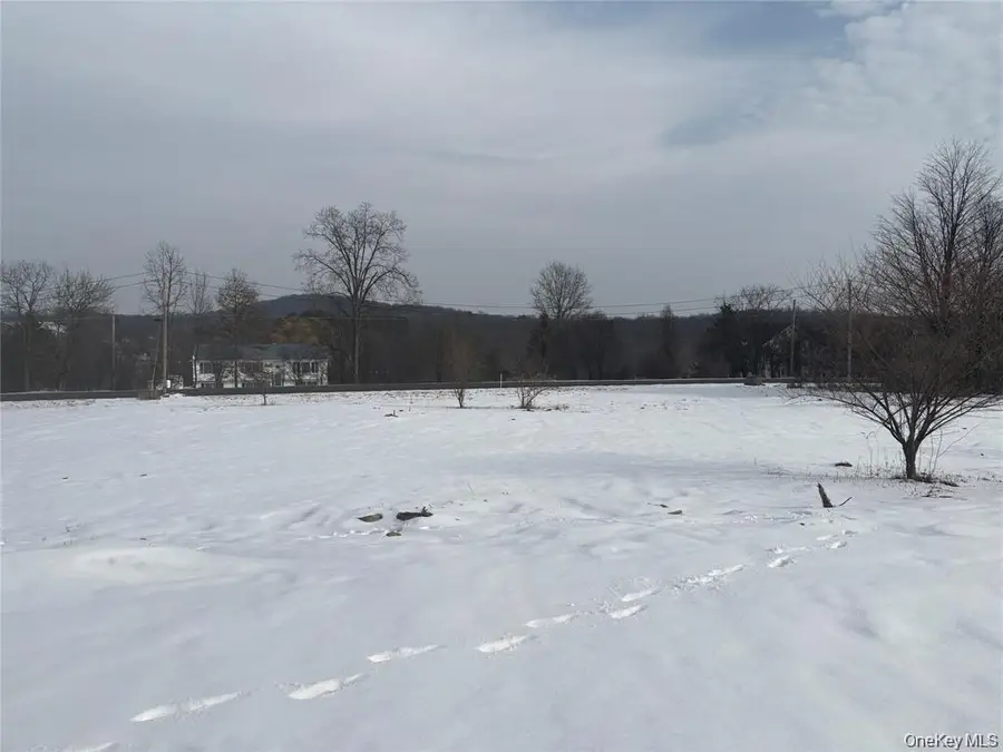 24 Azalea Ln, Slate Hill, NY 10973 - #3