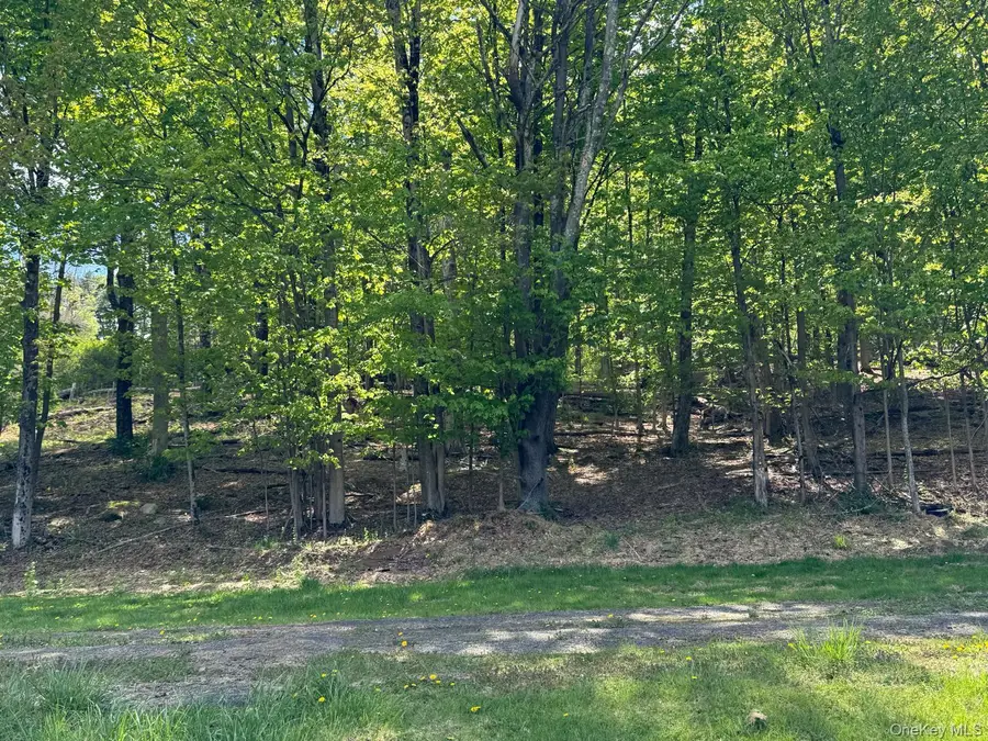 Westwood Avenue, Ellenville, NY 12428 - #2