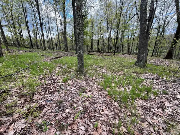 Cold Spring Road, Clinton Corners, NY 12514