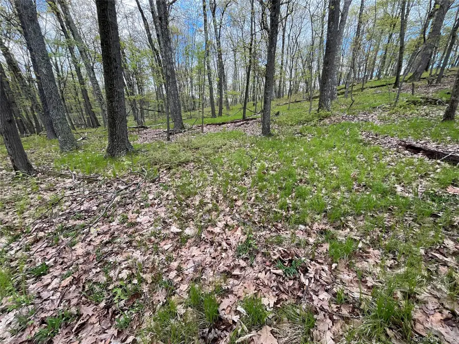 Cold Spring Road, Clinton Corners, NY 12514 - #3