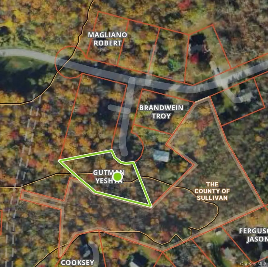 Cathalia Ct Tr 154e, Fallsburg, NY 12733 - #2