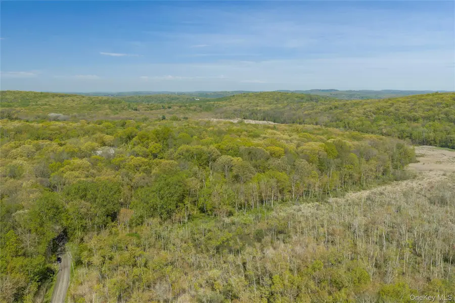 298 Nash Road, North Salem, NY 10560 - #3
