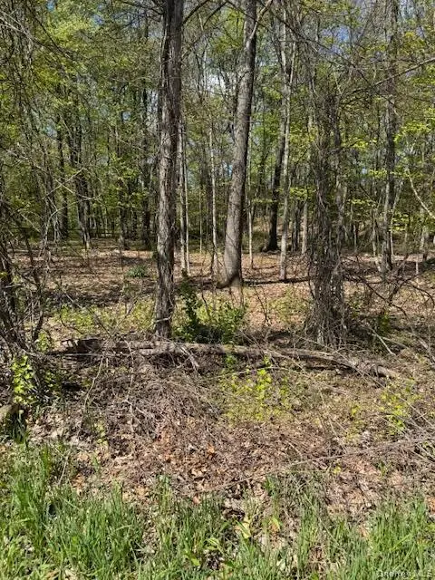 Four Corners Road, Warwick, NY 10990 - #2