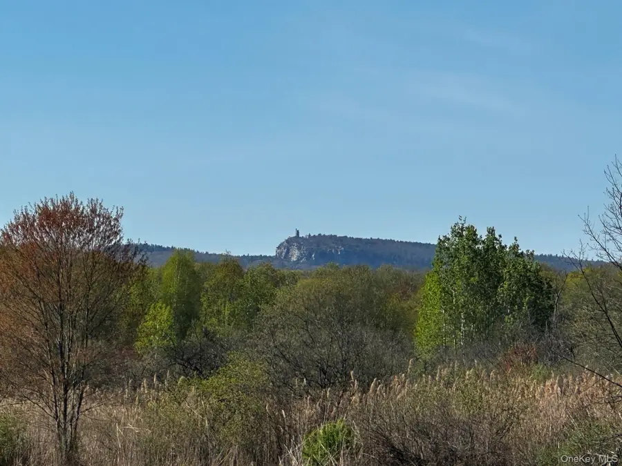 Route 32 S, Modena, NY 12548 - #3