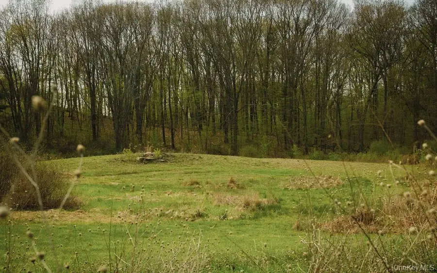 265 Ny-308, Rhinebeck, NY 12572 - #2