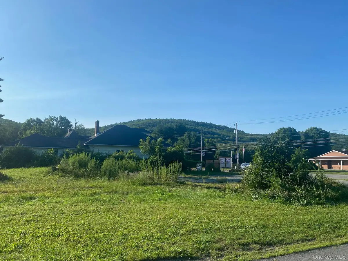 44 Sullivan Street, Wurtsboro, NY 12790 - #1