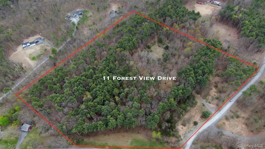 11 Forest View Drive, Catskill, NY 12414 - #2