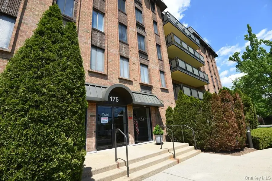 175 Maple Avenue #4I, Westbury, NY 11590 - #2