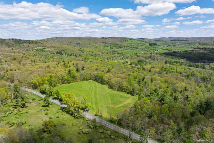0 County Route 21, Hillsdale, NY 12529 - #3