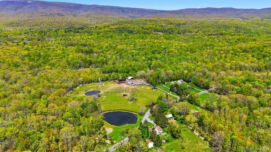 51 Redder Road, Pine Bush, NY 12566 - #2