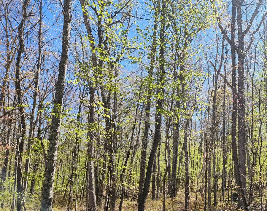 Lot 34 Lenni Lenape Road, Cochecton, NY 12726 - #2