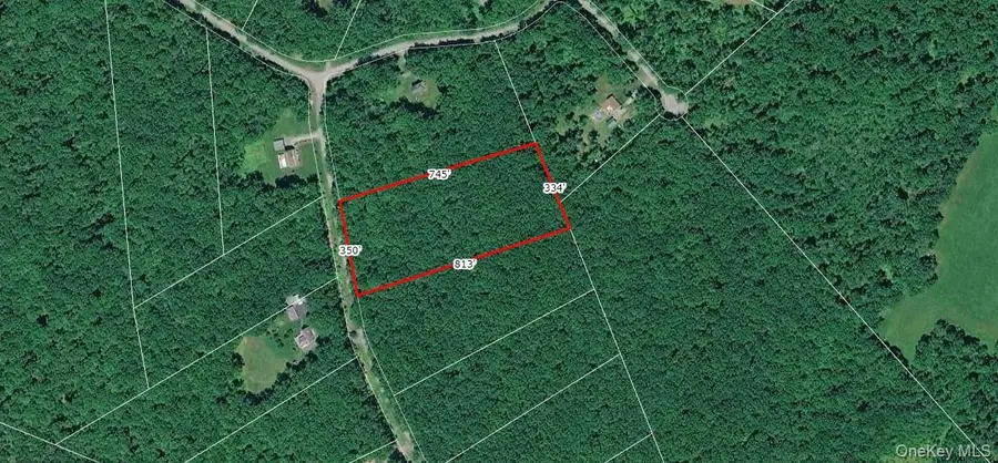 Lot 34 Lenni Lenape Road, Cochecton, NY 12726 - #3