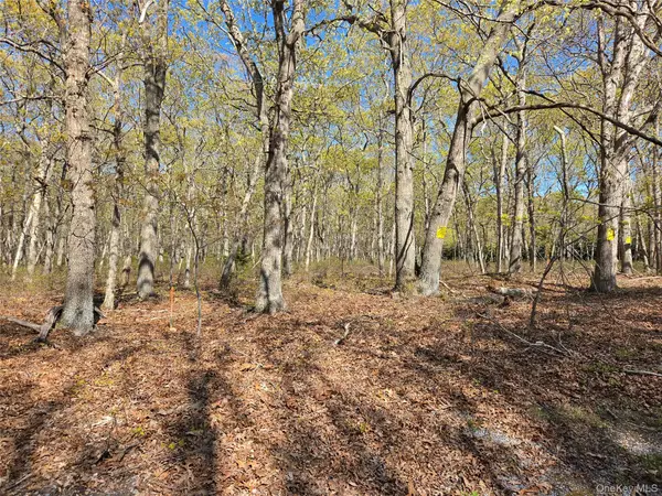 1796 Majors Path, Southampton, NY 11968