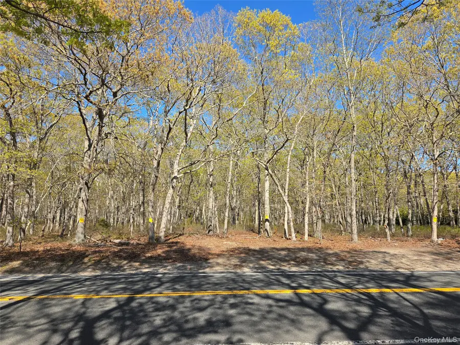 1796 Majors Path, Southampton, NY 11968 - #2