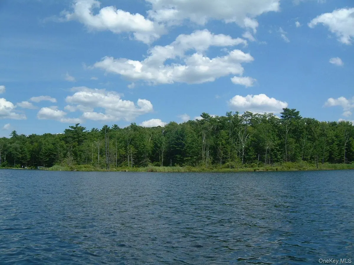 Browning Boulevard, Barryville, NY 12719 - #1