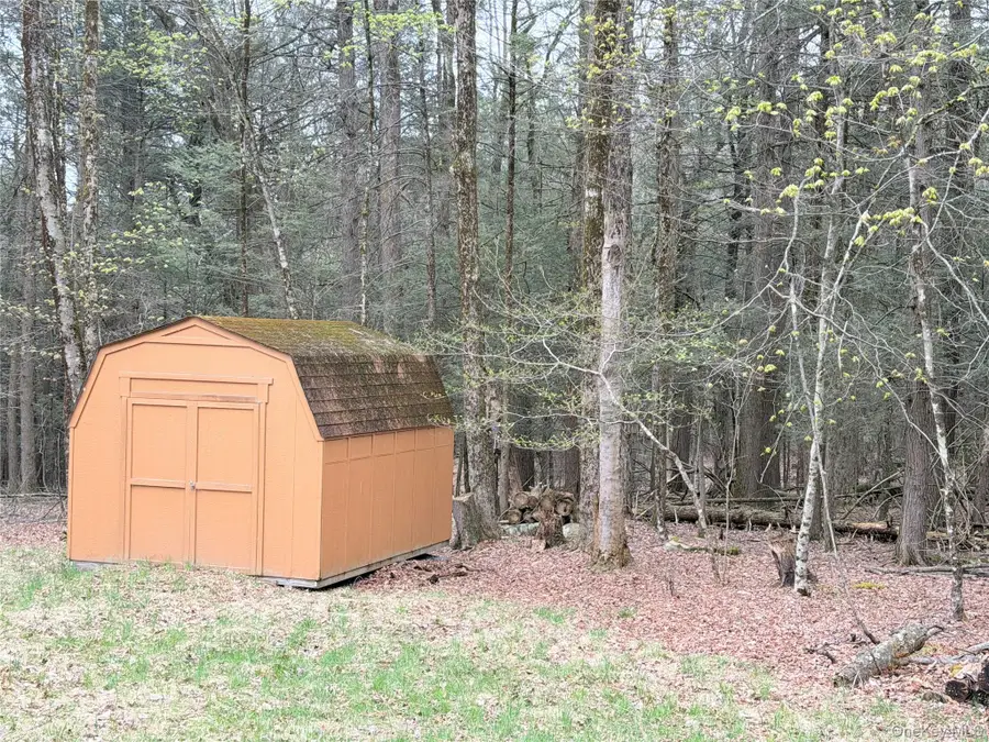 Muthig Road, Fallsburg, NY 12733 - #3