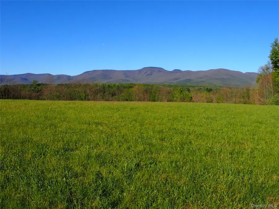 8207 Route 32, Cairo, NY 12413 - #2