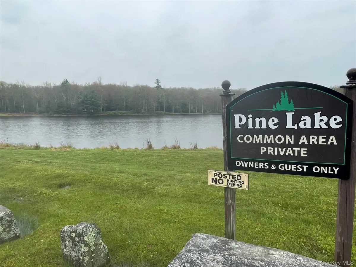 lot # 20 Pine Lake Drive, Wurtsboro, NY 12790 - #1