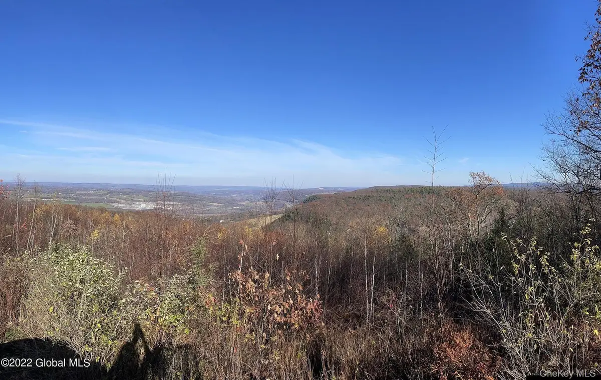 L26 & L27 Ecker Hollow Road, Cobleskill, NY 12043 - #1