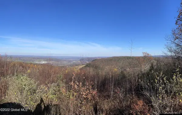 L26 & L27 Ecker Hollow Road, Cobleskill, NY 12043