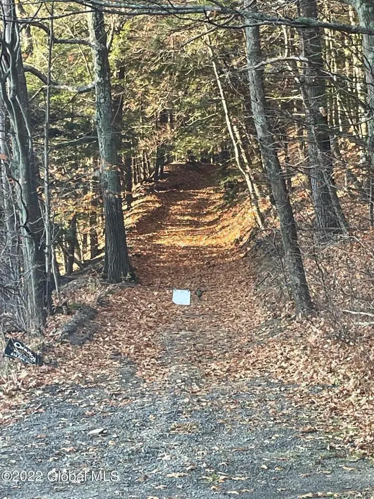 L26 & L27 Ecker Hollow Road, Cobleskill, NY 12043 - #2