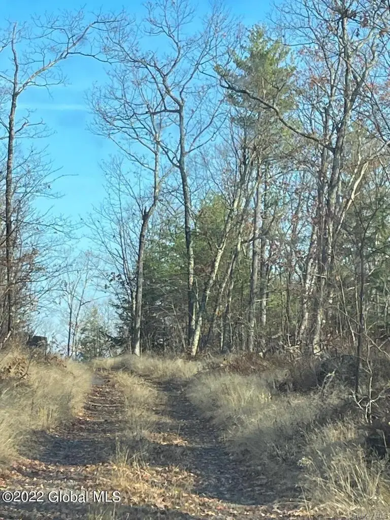 L26 & L27 Ecker Hollow Road, Cobleskill, NY 12043 - #3