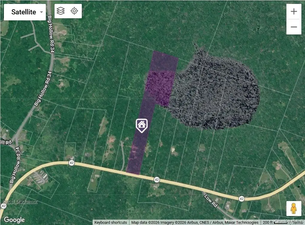 7173 State Route 42, Grahamsville, NY 12740 - #1