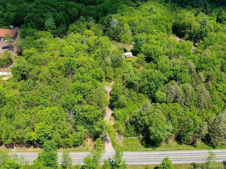 7175 State Route 42, Grahamsville, NY 12740 - #2