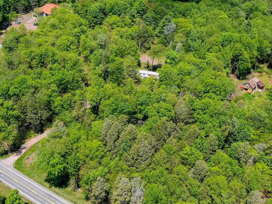 7175 State Route 42, Grahamsville, NY 12740 - #3