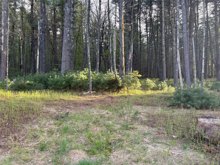 Airport Road, Eldred, NY 12732 - #2