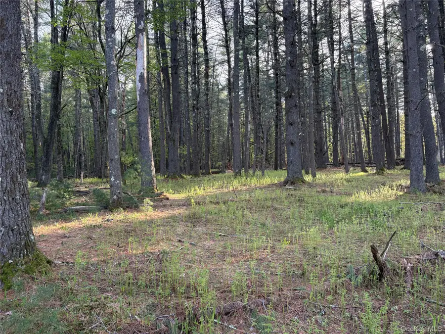 Airport Road, Eldred, NY 12732 - #3