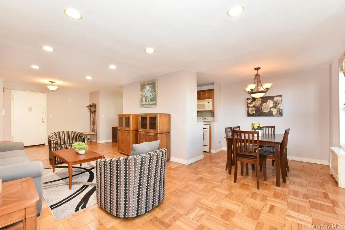 4 Birchwood Court #1N, Mineola, NY 11501 - #1