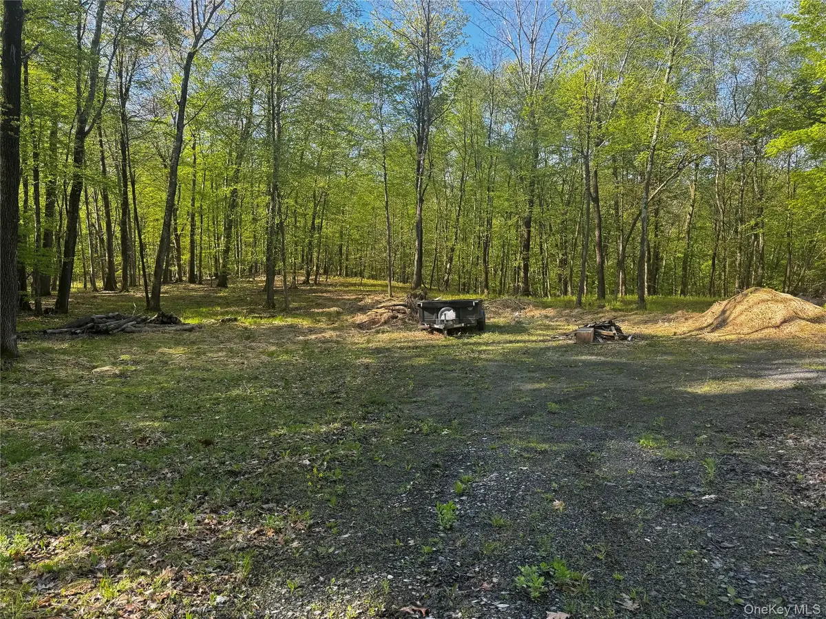 Hall Hill Road, Ancram, NY 12502 - #1