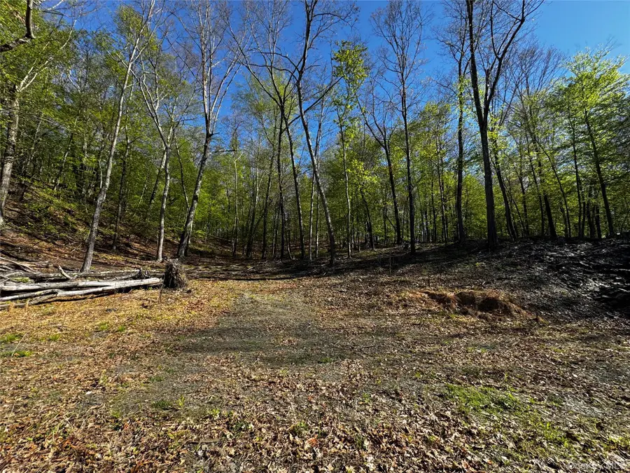 Hall Hill Road, Ancram, NY 12502 - #2