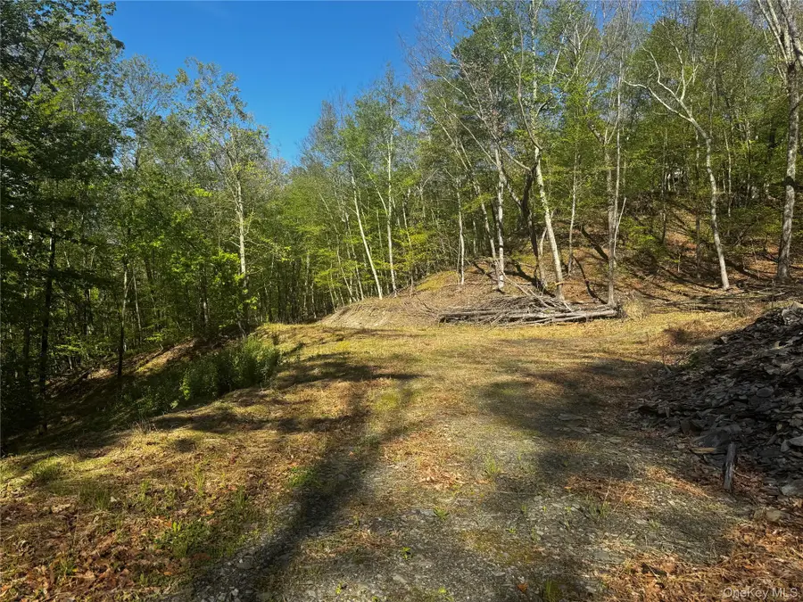 Hall Hill Road, Ancram, NY 12502 - #3