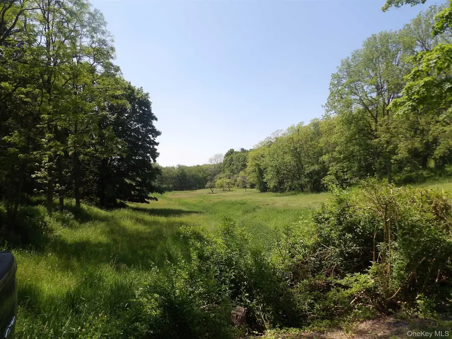 303 Hicks Hill Road, Stanfordville, NY 12582 - #2