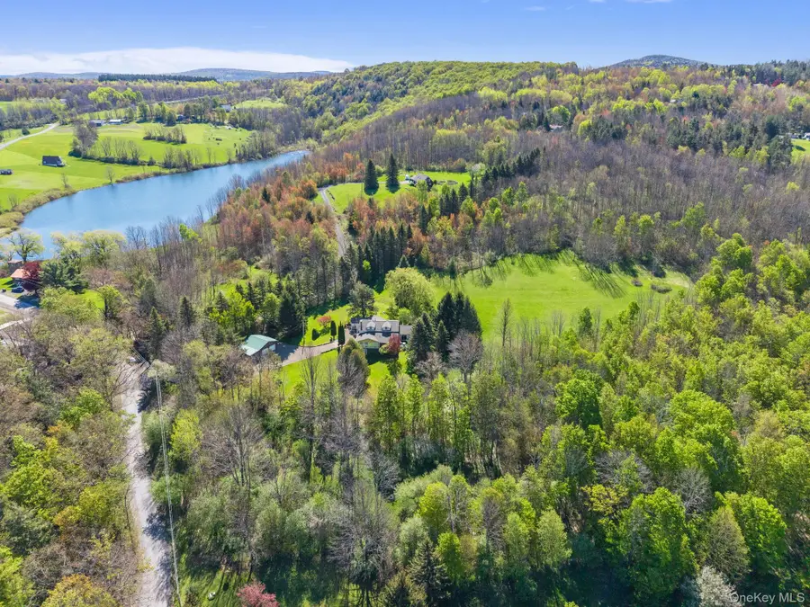 162 Fancher Road, Summit, NY 12149 - #2