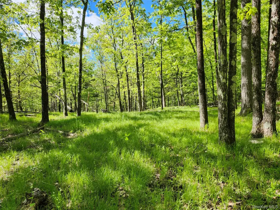 TBD Upper Samsonville Road, Olivebridge, NY 12461 - #2