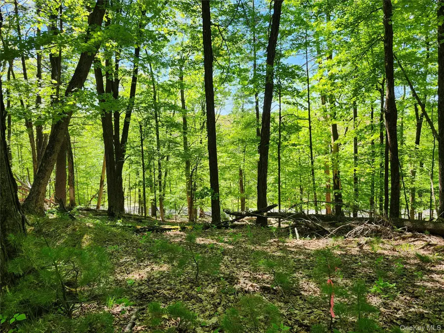 TBD Upper Samsonville Road, Olivebridge, NY 12461 - #3