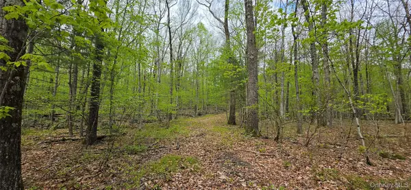Lot 23.21 State Route 97, Narrowsburg, NY 12764