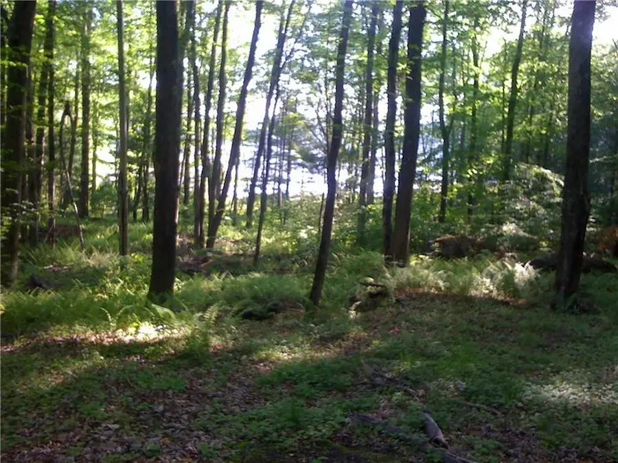 Lot 13 Woodstone Trail, Bethel, NY 12720 - #3